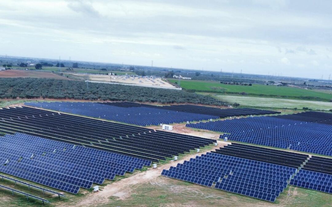 PSF Carmona 12 MW