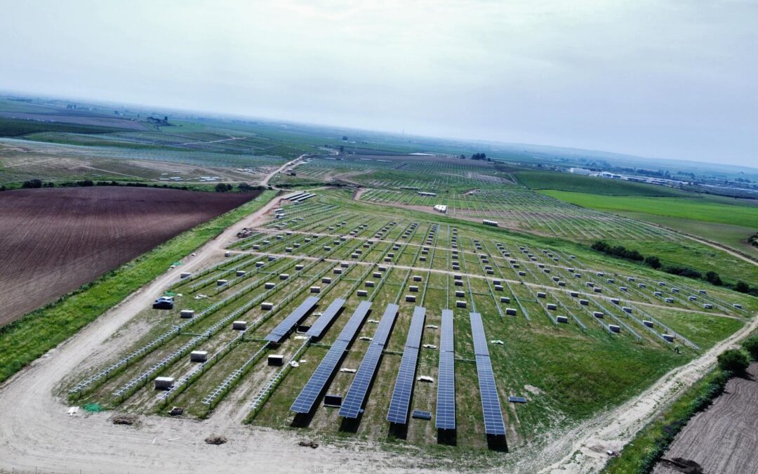 PSF 50 MWp «FUNDICI»